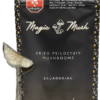 Ecuadorian Dried Magic Mushroom