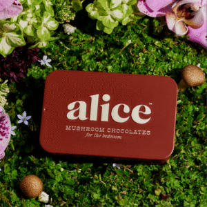 Alice Mushroom Chocolate Happy Ending x Dipsea Set