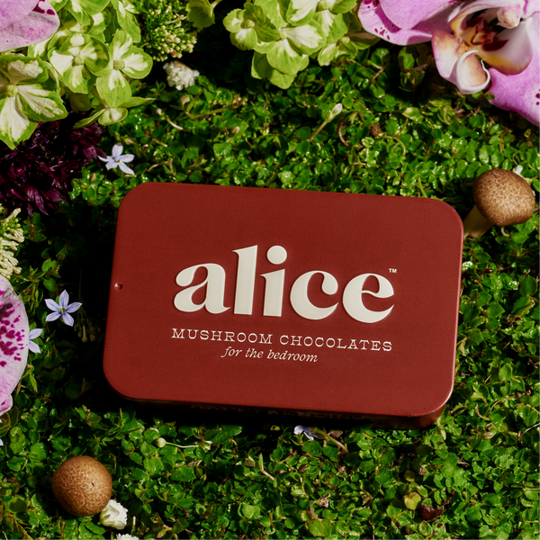 Alice Mushroom Chocolate Happy Ending x Dipsea Set
