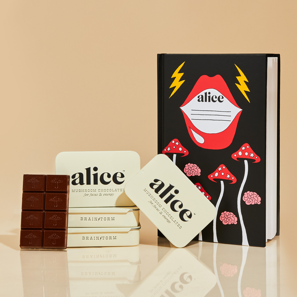 Alice Mushroom Chocolate | Brainstorm For Focus and Energy