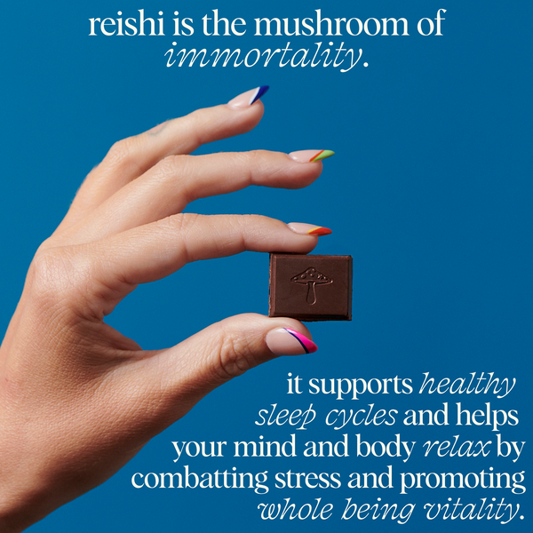 Alice Mushroom Chocolate | NightCap x Open for deep sleep - Image 4